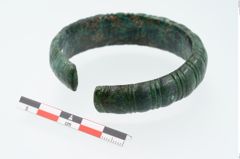 Foto von Bronzearmeif (NHMW-PRAE-026498)